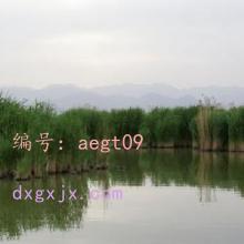 ܶ