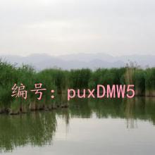 Բ