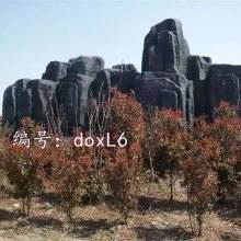 ɱ