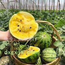 Ҫ